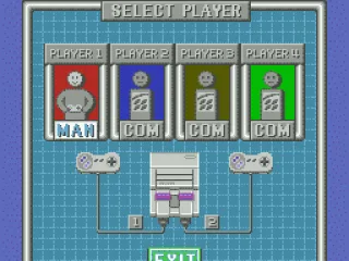 
											Player Config