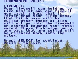 
											Tournament rules