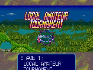 
											Stage 1