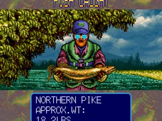 
											The kind of fish you DON'T want.
