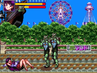 
											Amusement park level