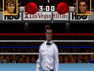
											The referee at the beginning of the match