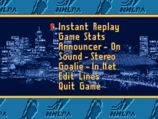 
											In game options