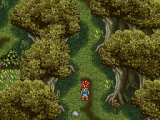 
											In the forest