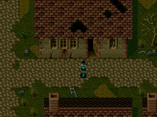 
											A ruined town