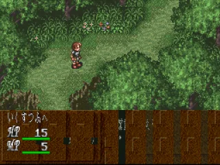 
											Forest path
