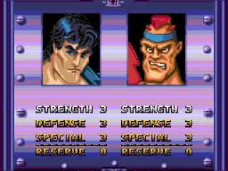 
											Adjusting parameters before battle
