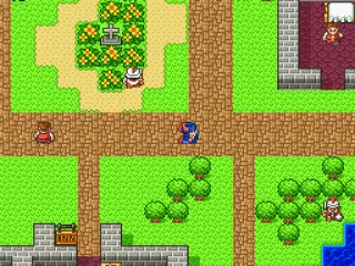 
											Visiting a town (DQ)