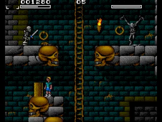 
											The fullscreen view; opening a dungeon door with a key