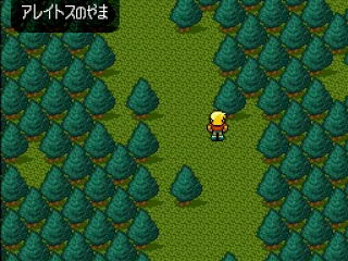 
											Alone in the Forest