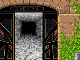 
											Entering the dungeon