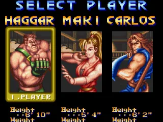 
											Character selection