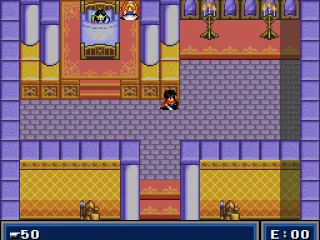 
											The hero begins in king's bedroom. Looks like the stupid king is sleeping :)
