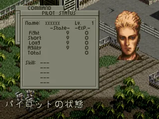 
											Viewing character information during battle