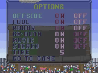 
											Game options