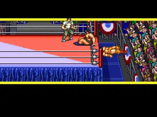
											Outside the ring