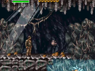
											Cave