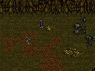 
											Fighting snakes outside of Hobbiton