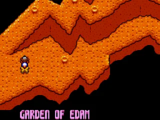 
											Choosing the Garden of Edam
