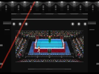 
											Entering the ring