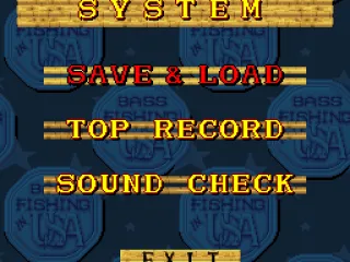
											System options