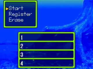 
											Register a name for the tournament