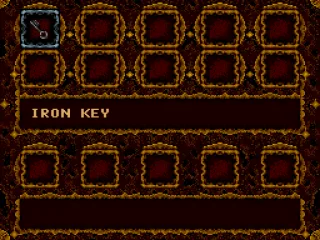 
											The inventory screen. This is where all the items you pick up are stored. The screen can be accessed by pushing SELECT.