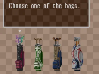 
											Choose a golf bag