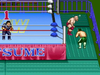 
											Action outside of the ring