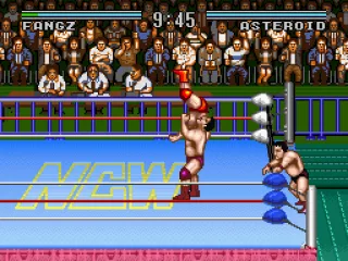 
											Suplex
