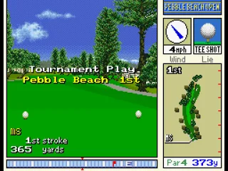 
											Hole 1