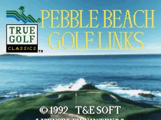 
											Title screen (USA release)