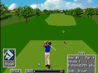 
											At the tee