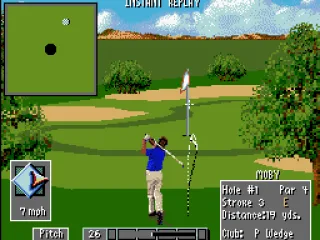 
											Replay of this nice birdie