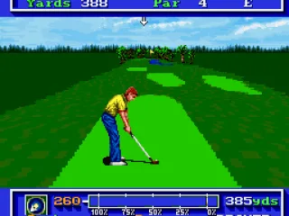 
											At the tee