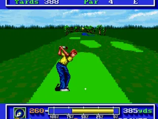 
											Taking a swing