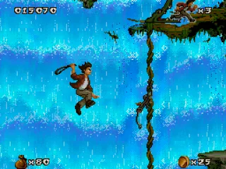 
											Attacking a monkey