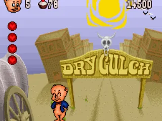 
											Dry Gulch Town