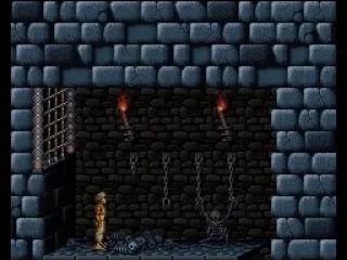 
											The beginning