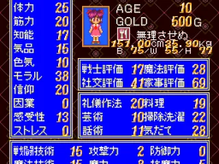 
											The princess' stats