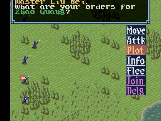 
											Turn-based fighting