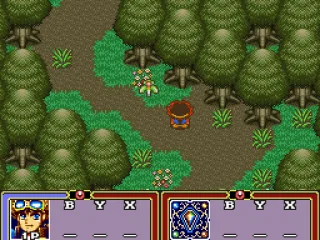 
											Through a forest
