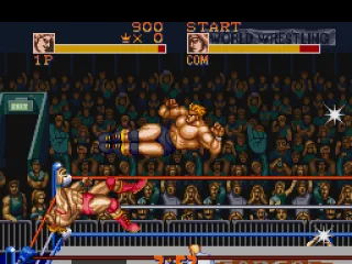 
											Nice dropkick!