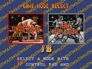 
											Selecting game mode