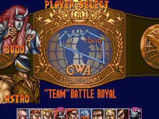 
											Saturday Night Slam Masters screenshot 7