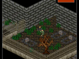 
											Graveyard