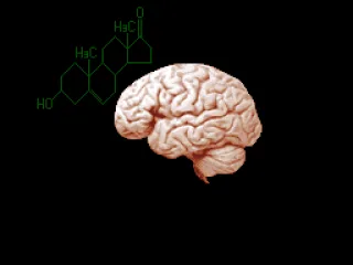 
											Brain.