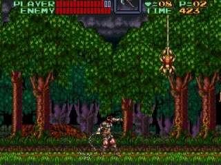 
											In a forest