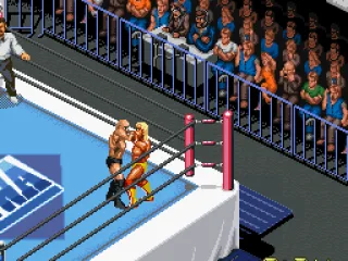 
											A grapple