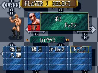 
											Choosing a wrestler. This one is mixed-martial arts Pancrase champion Bas Rutten